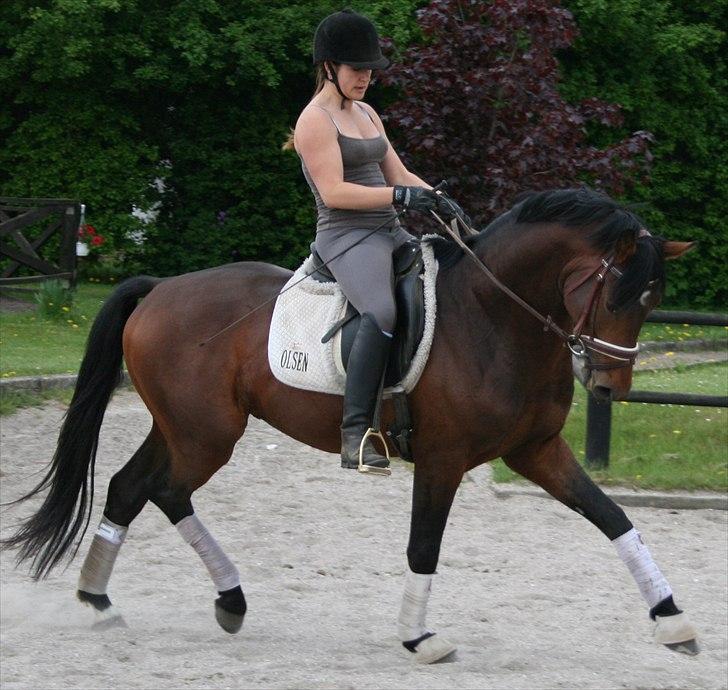 Kængubarnet med hop i billede 10