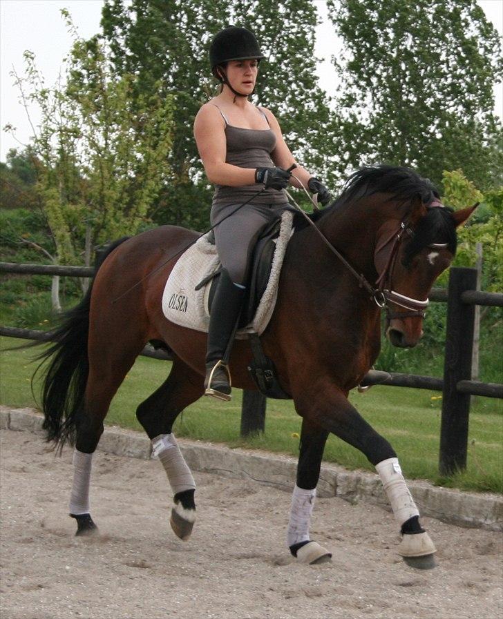 Kængubarnet med hop i billede 11