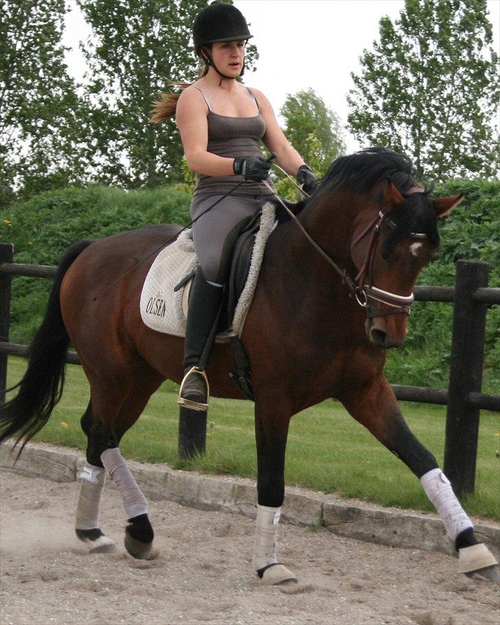 Kængubarnet med hop i billede 12