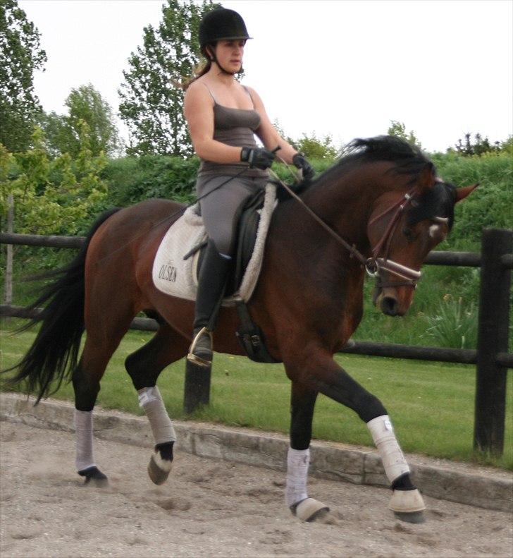 Kængubarnet med hop i billede 13