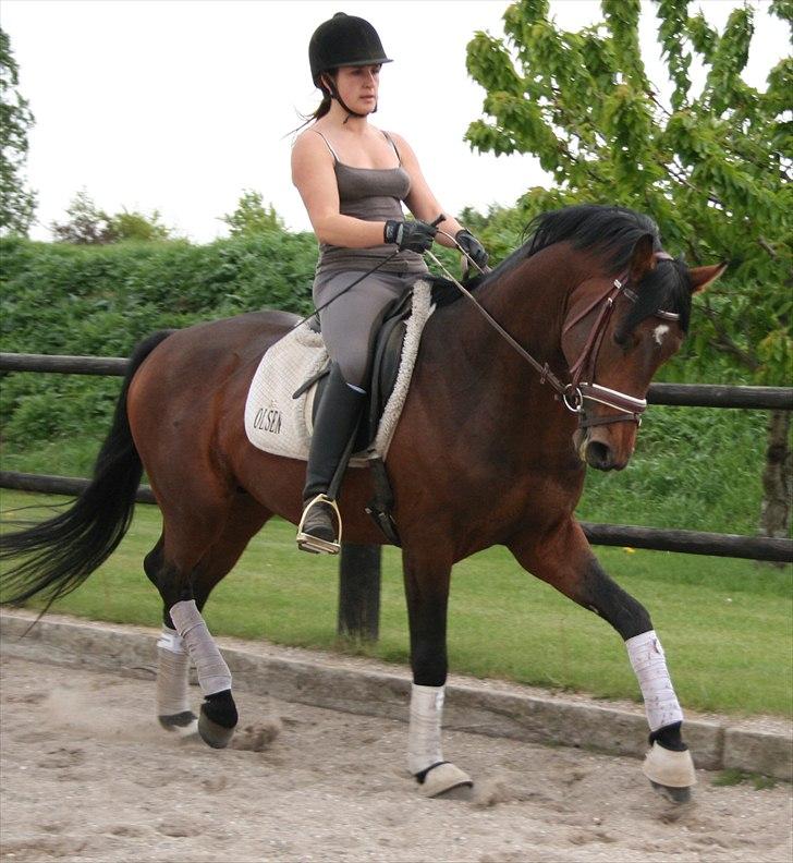 Kængubarnet med hop i billede 14