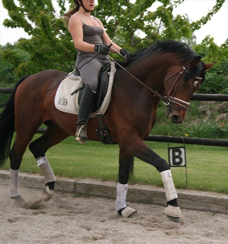 Kængubarnet med hop i billede 15