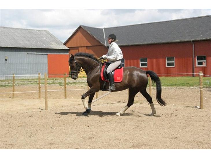 {{currentPhoto.altText}} billede {{currentPhoto.number}}