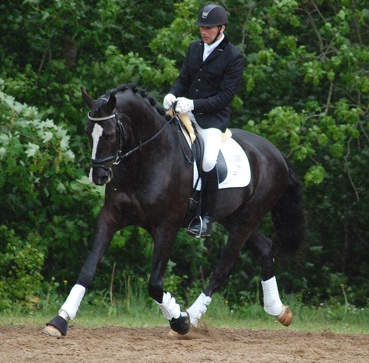 Vinder af 4 års kvalifikation i DRF dressur championat billede 3