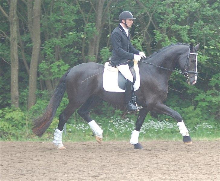 Vinder af 4 års kvalifikation i DRF dressur championat billede 5