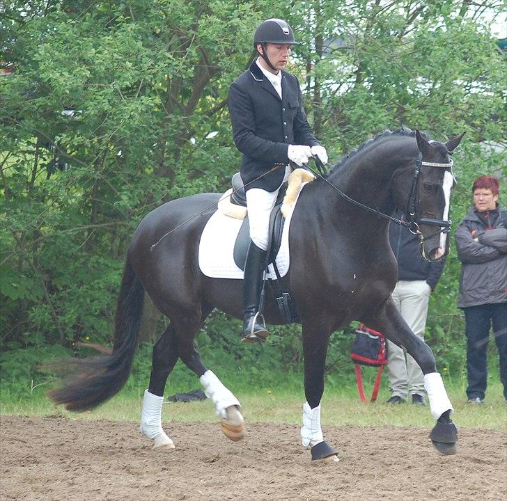 Vinder af 4 års kvalifikation i DRF dressur championat billede 6