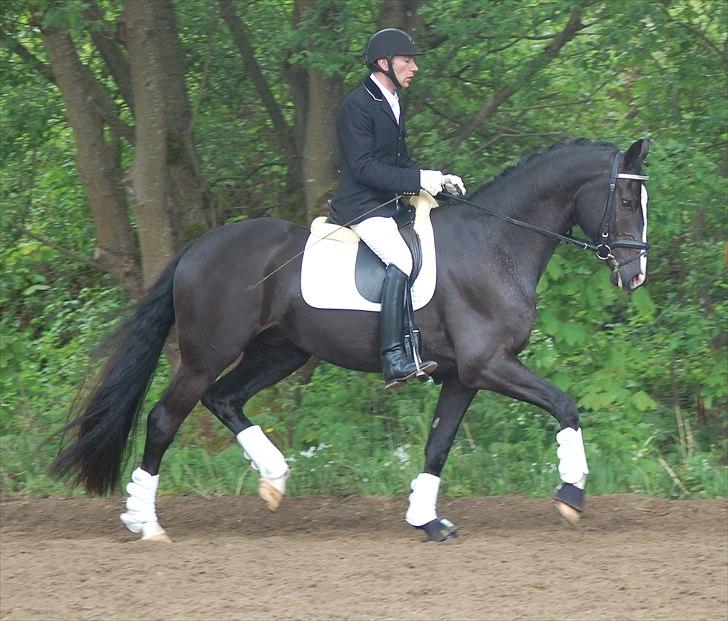 Vinder af 4 års kvalifikation i DRF dressur championat billede 7