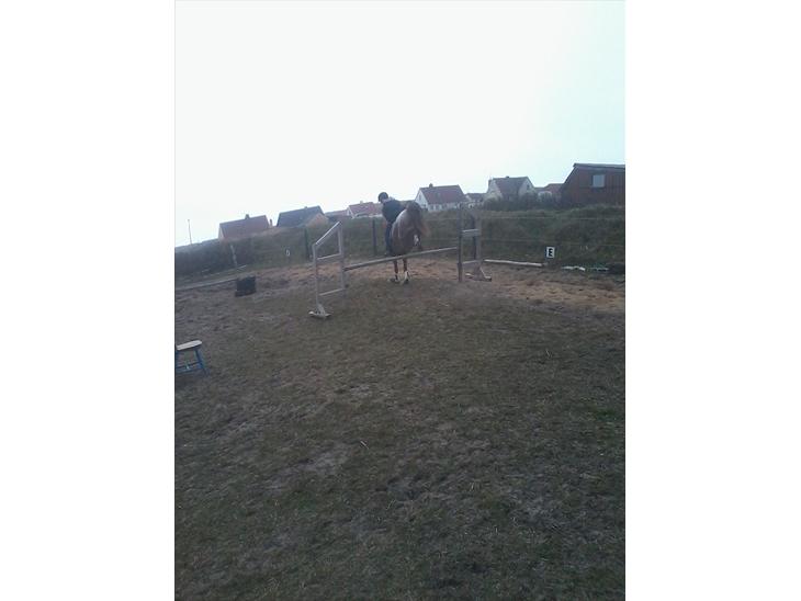 {{currentPhoto.altText}} billede {{currentPhoto.number}}