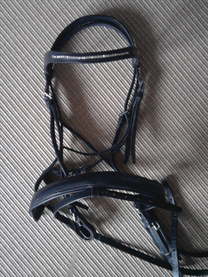 Rideudstyr fra herning billede 14
