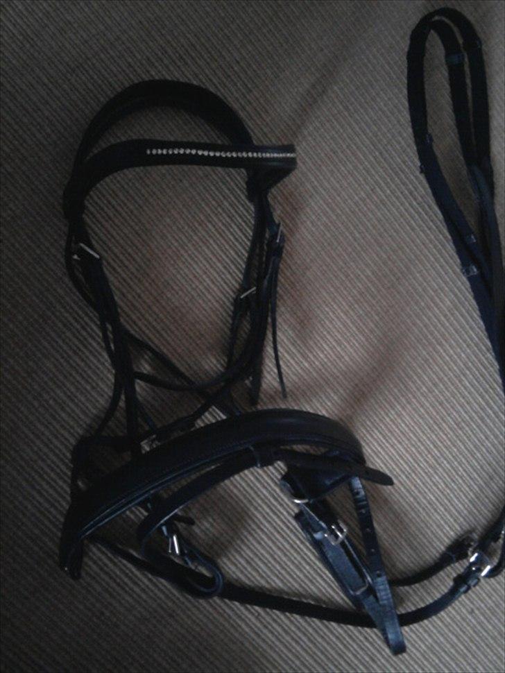 Rideudstyr fra herning billede 15