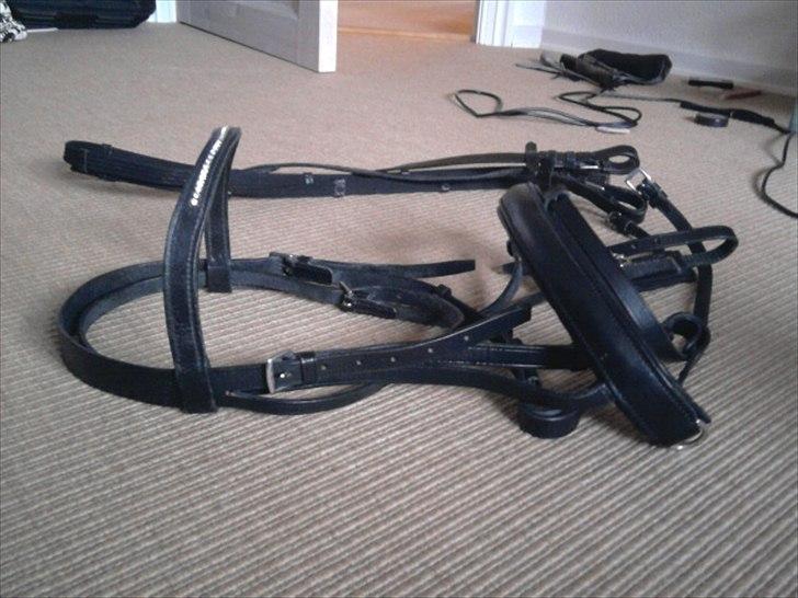 Rideudstyr fra herning billede 17