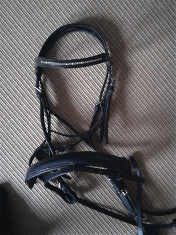 Rideudstyr fra herning billede 18