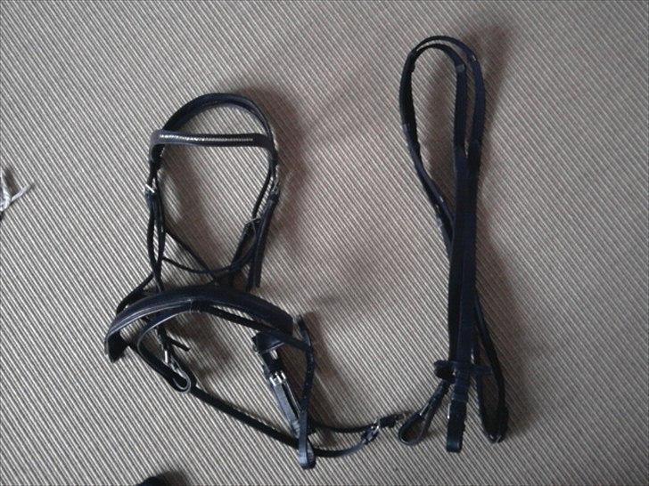 Rideudstyr fra herning billede 19