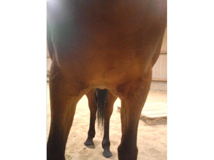 {{currentPhoto.altText}} billede {{currentPhoto.number}}