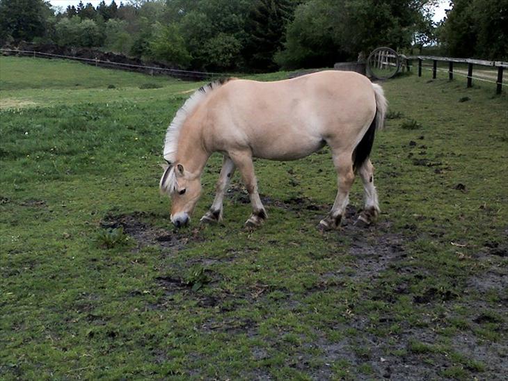 {{currentPhoto.altText}} billede {{currentPhoto.number}}