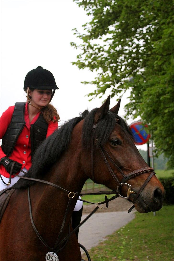 Mig og chrisser til hestestævne i holte billede 6