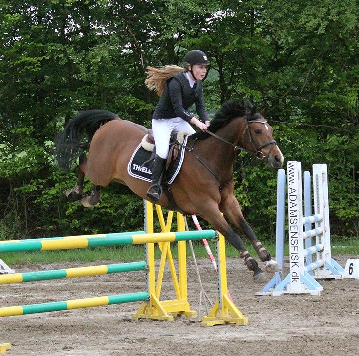 Mig og chrisser til hestestævne i holte billede 8