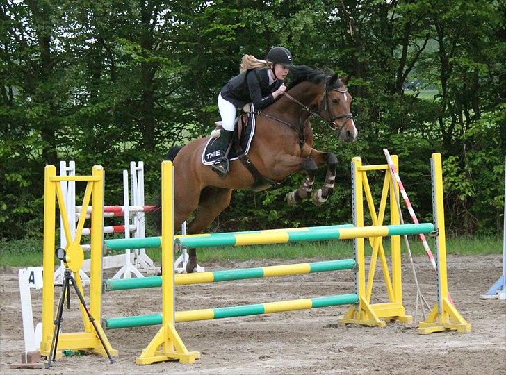 Mig og chrisser til hestestævne i holte billede 9