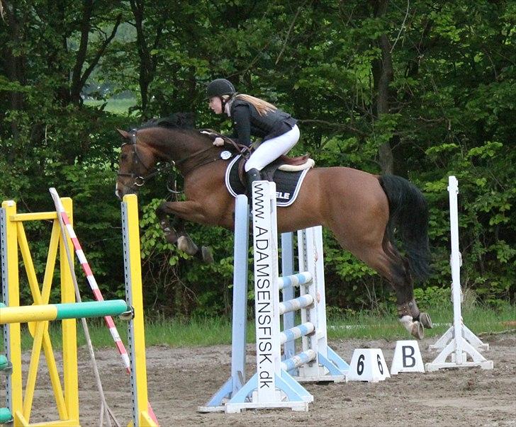 Mig og chrisser til hestestævne i holte billede 10