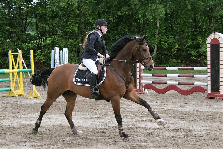 Mig og chrisser til hestestævne i holte billede 11