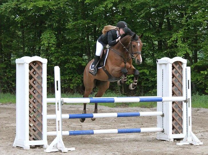 Mig og chrisser til hestestævne i holte billede 12