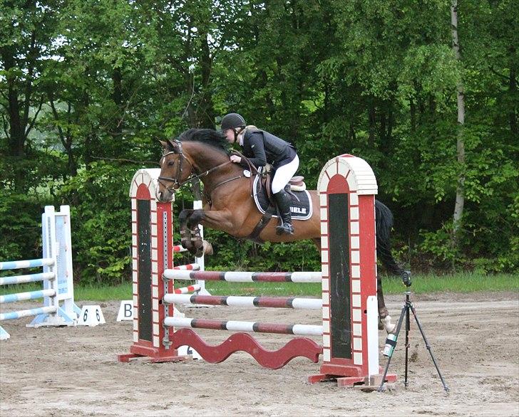 Mig og chrisser til hestestævne i holte billede 13