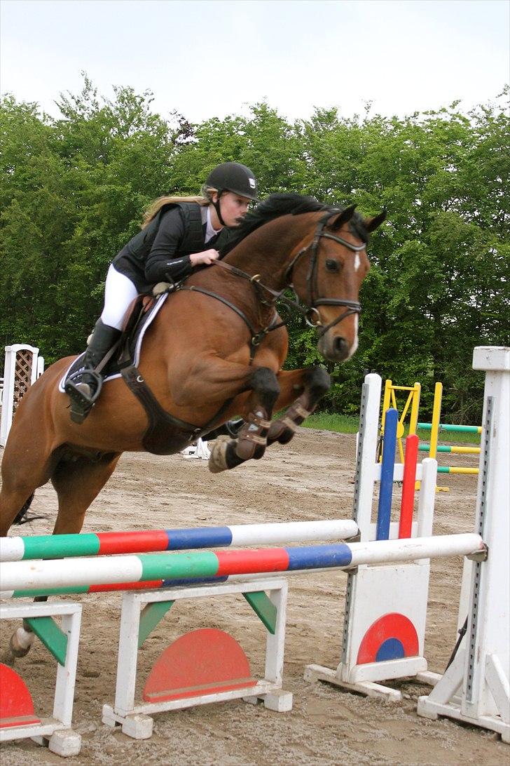 Mig og chrisser til hestestævne i holte billede 14