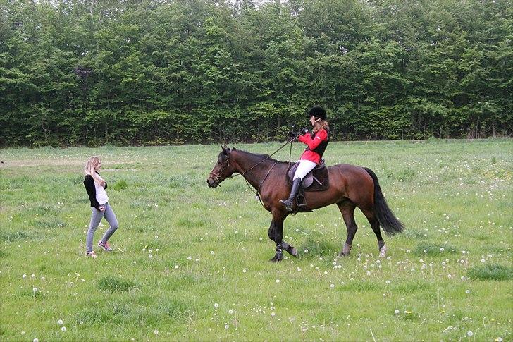 Mig og chrisser til hestestævne i holte billede 15