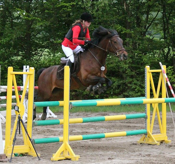 Mig og chrisser til hestestævne i holte billede 16