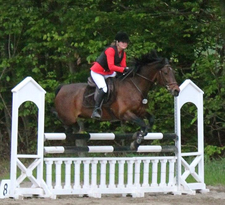 Mig og chrisser til hestestævne i holte billede 17