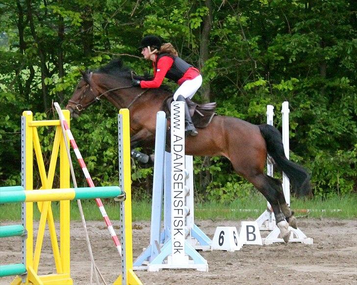 Mig og chrisser til hestestævne i holte billede 19
