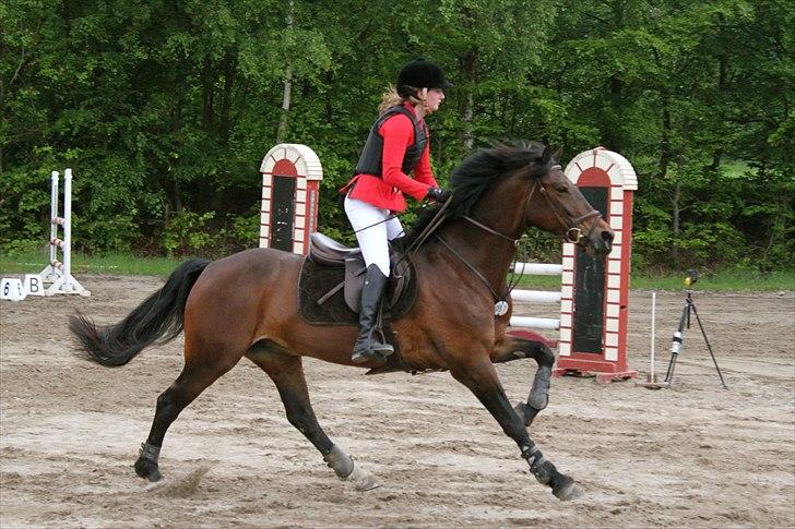 Mig og chrisser til hestestævne i holte billede 20