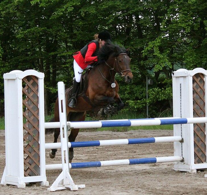 Mig og chrisser til hestestævne i holte billede 2