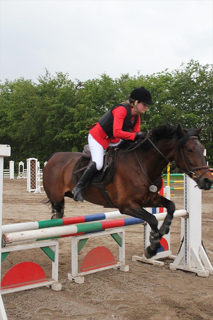 Mig og chrisser til hestestævne i holte billede 23
