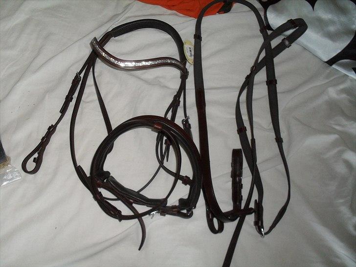 Mosbæk rideudstyr  - Trense billede 2