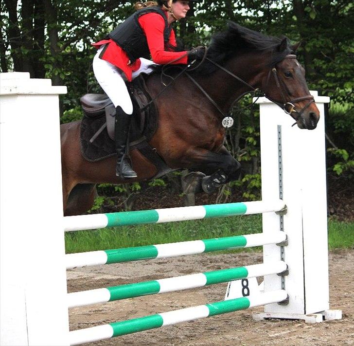 Mig og chrisser til hestestævne i holte billede 25