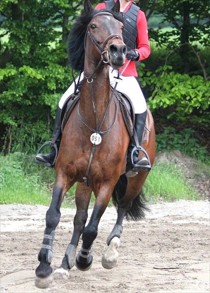 Mig og chrisser til hestestævne i holte billede 26