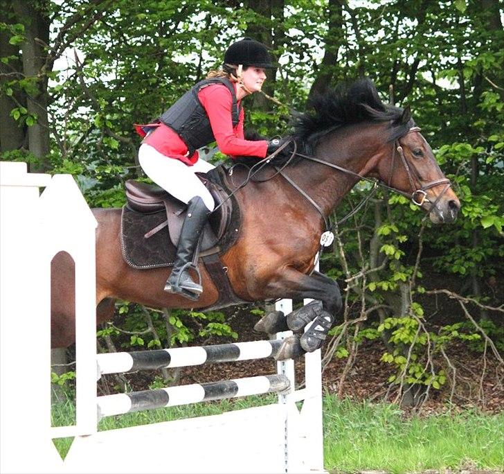 Mig og chrisser til hestestævne i holte billede 27