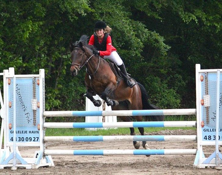Mig og chrisser til hestestævne i holte billede 1