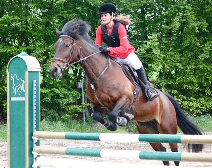 Mig og chrisser til hestestævne i holte billede 28
