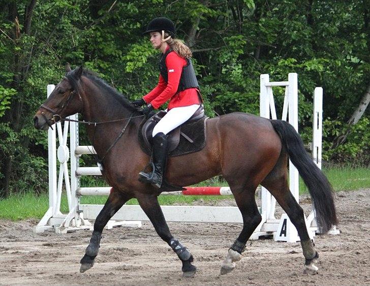 Mig og chrisser til hestestævne i holte billede 29