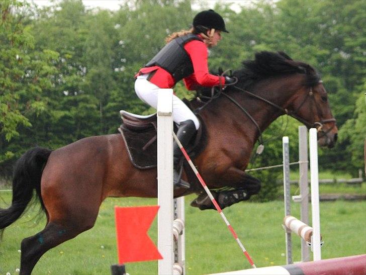 Mig og chrisser til hestestævne i holte billede 30