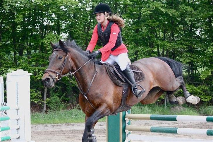 Mig og chrisser til hestestævne i holte billede 31