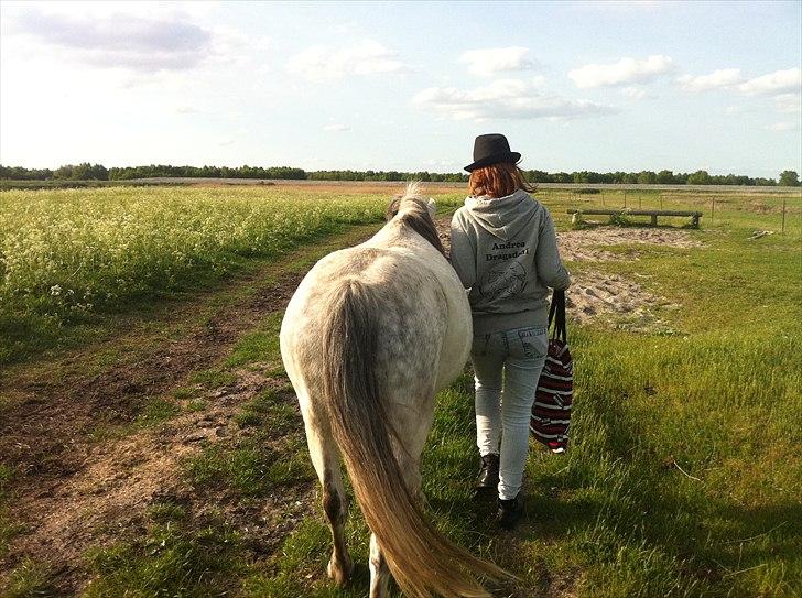 [Camilla Stormont] Random hest... - Dino og Andrea på tur :) billede 8