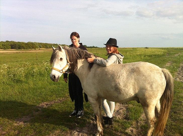 [Camilla Stormont] Random hest... - Dino og Andrea på tur :) billede 9