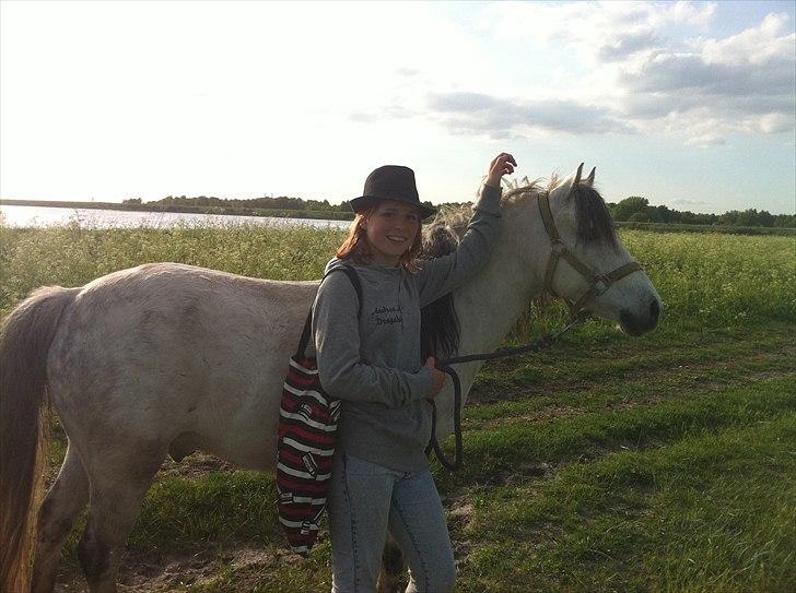 [Camilla Stormont] Random hest... - Dino og Andrea på tur :) billede 10