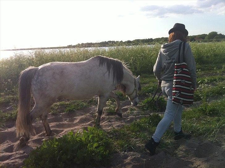 [Camilla Stormont] Random hest... - Dino og Andrea på tur :) billede 12