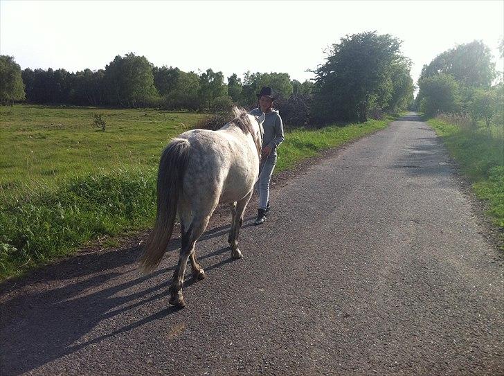 [Camilla Stormont] Random hest... - Dino og Andrea på tur :) billede 13