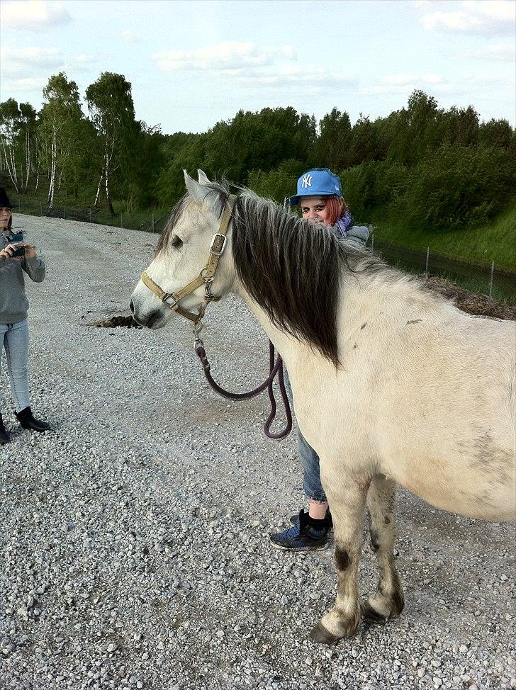[Camilla Stormont] Random hest... - Dino og Andrea på tur :) billede 14
