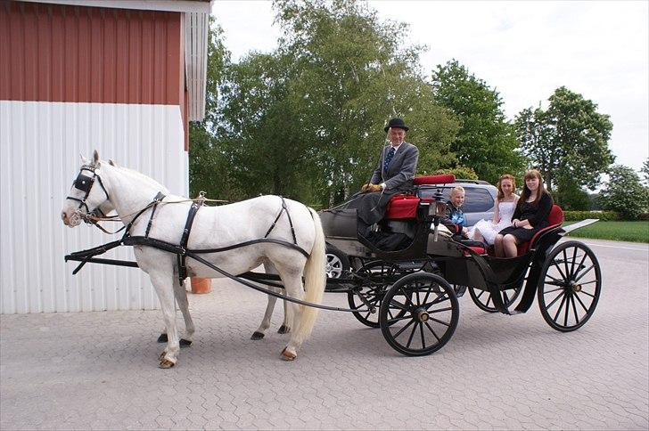 Min vidunderlige konfirmation D.20 maj 2011<3 billede 3